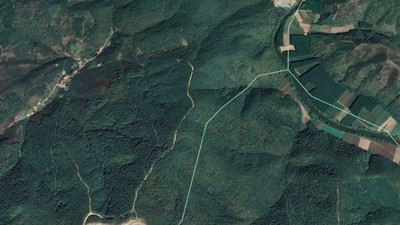 Bakanlık üç yıl sonra fikir değiştirdi, 500 ağacı kesebilirsiniz