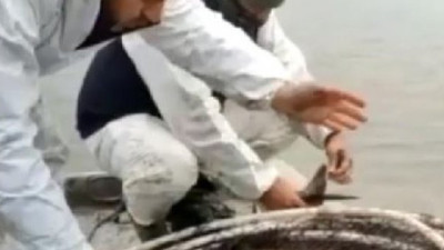 Terkos Gölü'nde yasa dışı şekilde avlanan 2 ton balık geri suya bırakıldı