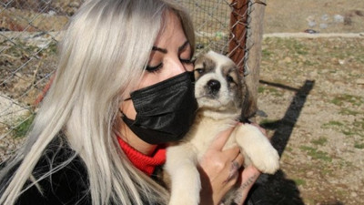 Konyalı kuaför evlatlarım dediği sokak köpeklerine sahip çıktı. Açtığı barınakta 350 köpeğe bakıyor