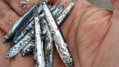 18 gün önce deprem olmuştu. Antalya Patara'da korkutan görüntü