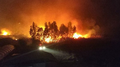 Muğla'daki yangında seraları olan çiftçiler seferber oldu