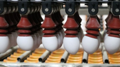Fiyatları fırlayan yumurtada yeni açıklama