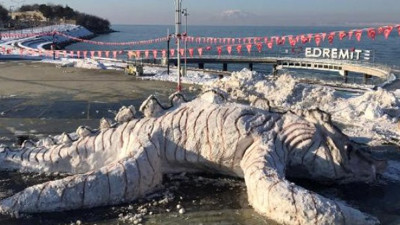 Belediye işçilerinin 10 metrelik Van Gölü canavarı ile imtihanı