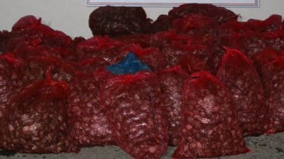 Edirne'de denizin dibinden çıkardılar. Yunanistan'a kaçıramadan yakalandılar