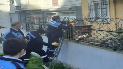 Kötü koku diye gittiler. Balkonda neler gördüler neler. Belediye ekipleri şaşkına döndü