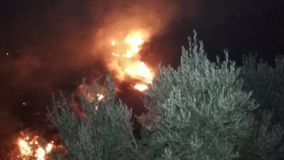 Hatay'da zeytinlik alandaki yangın 3 saat sonra söndürülebildi