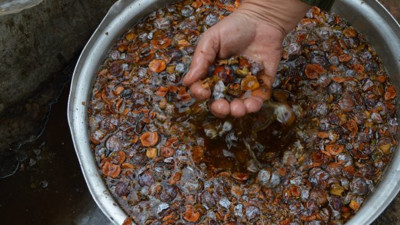 Tamamen doğal ve şifa kaynağı. Dağlardan toplanıyor faydaları saymakla bitmiyor