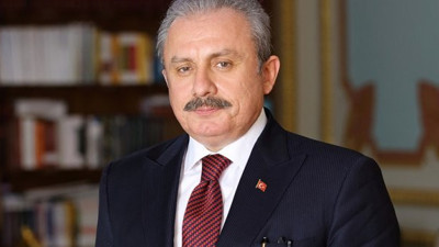 Türkiye Büyük Millet Meclisi Başkanı Mustafa Şentop'tan yeni yıl mesajı