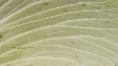 Vücudun tozunu atıyor bağışıklığa zirve yaptırıyor. A, C, K vitaminlerinin deposu