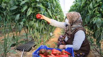 Antalya'da üretim yasaklarda da hız kesmiyor