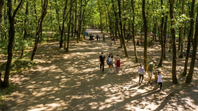 Ormanya'ya 5 milyon ziyaretçi