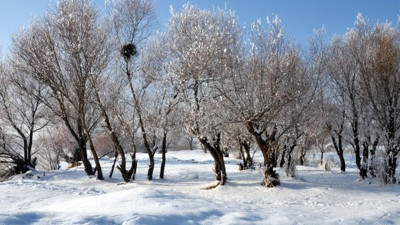 Doğu Anadolu kışa teslim
