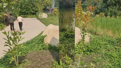 Gizemli monolitte çözülemeyen şifre. Bir anda yok oluyorlardı