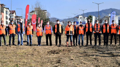 Ordu'da binlerce fidan toprakla buluştu