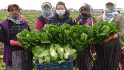 Aydın'da üretim hız kesmedi