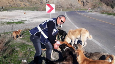 Türk polisi yasaklarda aç kalan hayvanları unutmadı