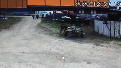 Tekirdağlı iş insanı şaşkına döndü. Vinç gibi çalıştılar at arabasıyla kaçtılar