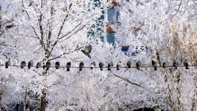 Ardahan'dan eşine az rastlanır görüntüler