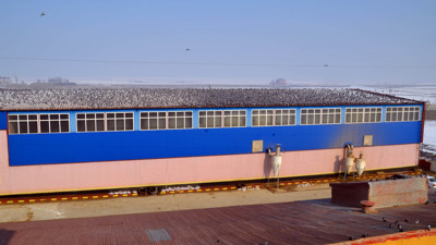 Muş'taki yem fabrikasını kuşlar istila etti