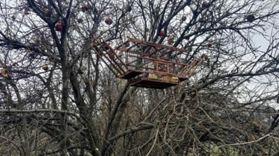 Saka avcılarını polis bastı