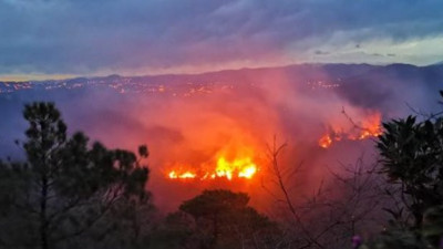 Trabzon'da 2 ilçede orman yangını