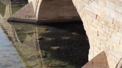 Kızılırmak'a kümeler halinde akın ettiler. Görenler dönüp dönüp baktı