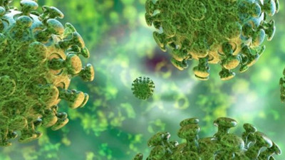 Korona 2 milyon 17 bin kişiyi öldürdü