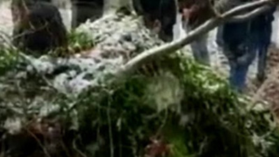 İzinsiz kazı yapan 11 kişiye ceza yağdı