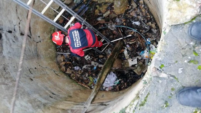 Tilki tilki olalı böyle korku yaşamadı. Muğla'da saatlerce kurtarılmayı bekledi