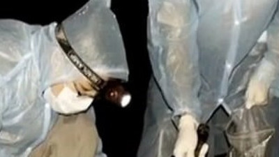 Çinli bilim insanları korkunç gerçeği itiraf etti. Meğer her şey delil toplarken olmuş