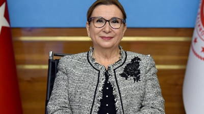 Bakan Pekcan 2020'de sınır kapılarından geçiş yapan ticari araç sayısını açıkladı