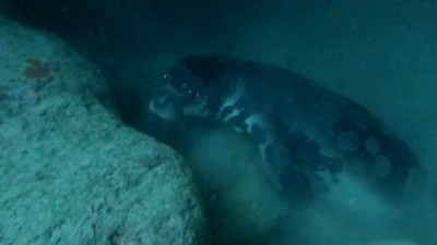 Akdeniz'de gözyaşları içerisinde öldü