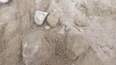 Amasya'da file ait fosil bulundu