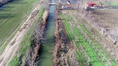 Bulgaristan’daki taşkınla Edirne’ye kadar geldiler. Her çalının arkasından onlar çıkıyor. İnsanlardan kaçmıyorlar