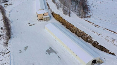 Ordu’da 40 bin civciv üretimi için tesis kuruluyor