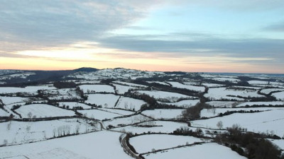 Sinop'taki tarlasında gezerken önüne yuvarlandı. 1 milyon lira istiyor