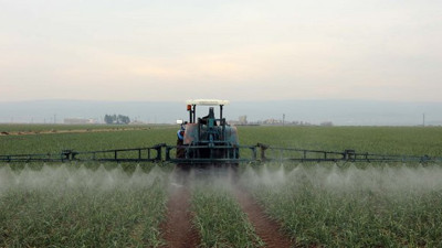 Önce tatlı ve fıstık şimdi sarımsak ile ünlenecek