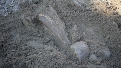 Amasya'da binlerce yıllık mamut fosilleri bulundu