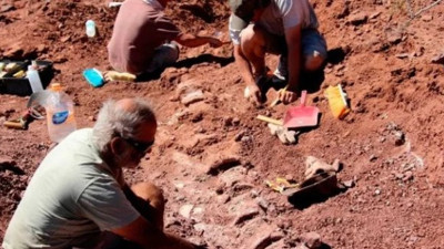 Arjantin’de tarihteki en büyük hayvanın fosili bulundu. Tam tamına 98 milyon yıllık