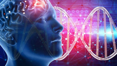 3 sorudan oluşan dünyanın en kısa zeka testi