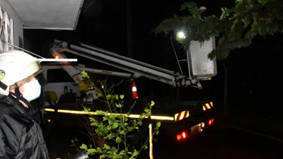 Rüzgar ağaçları yerinde söktü