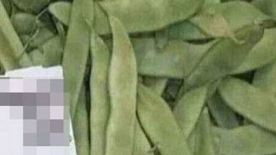 Fasulyenin market fiyatına inanamayacaksınız. Bu kadar da soygun olmaz ki üreticide 6 lira