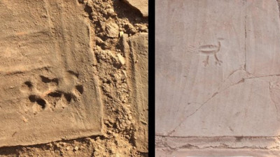 Manisa'da her kazma darbesinde ortaya çıktı. ABD'li arkeologlar gözlerine inanamadı