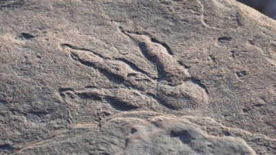 Arkeologlar hemen inceledi bölge korumu altına alındı. Ailesiyle yürüyen 4 yaşındaki çocuk gördü