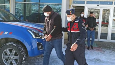 124 koyunu çalan hırsızlar tutuklandı