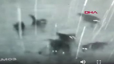 Kayseri'de kurt sürüsü Kangal köpeğini parçalayarak yedi. Köylüler korkudan ateş bile edemedi. O anların videosu ortaya çıktı