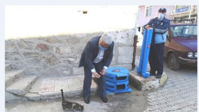 Kütahya'da örnek kedi evi projesi