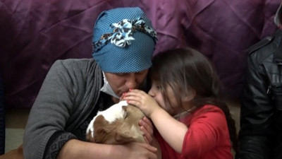 Vanlı besici yaşamaz denileni yaşatmak için çabalıyor. Beşiğe yatırdı biberonla besliyor