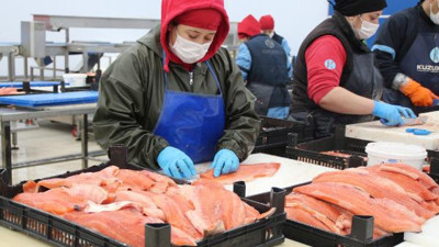 Karadeniz somonu ihracatı yüzde 275 arttı