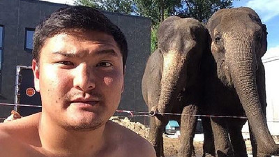 Eğitmenin belini kıran fillere men cezası